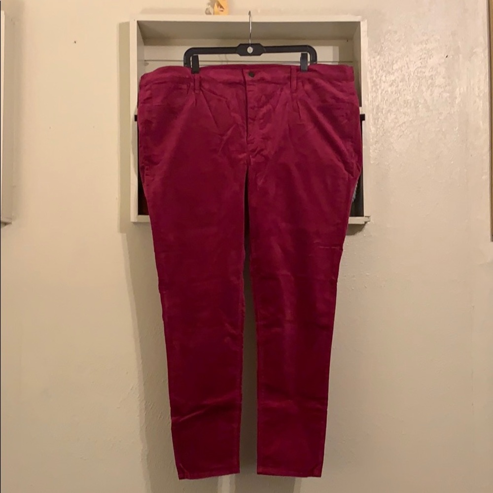 Velvet jcrew pants